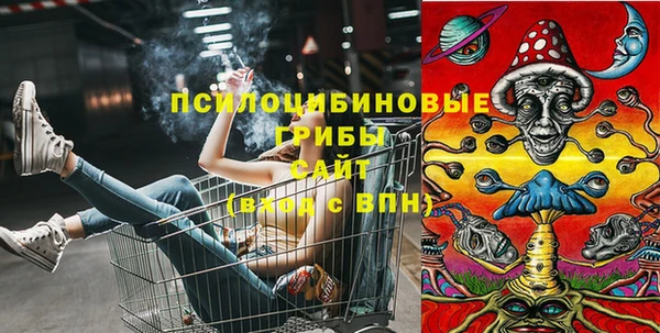 соль курить ск Богородицк
