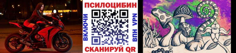 Галлюциногенные грибы Psilocybine cubensis  сколько стоит  Беслан 